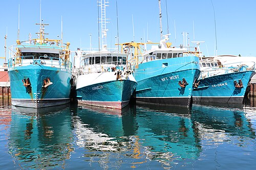 Fremantle Fishing Boat Harbour
