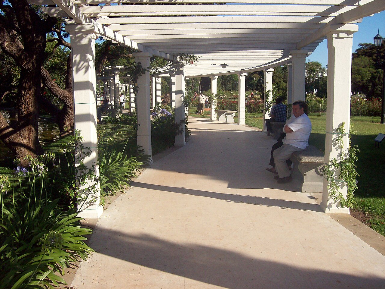 Paseo El Rosedal