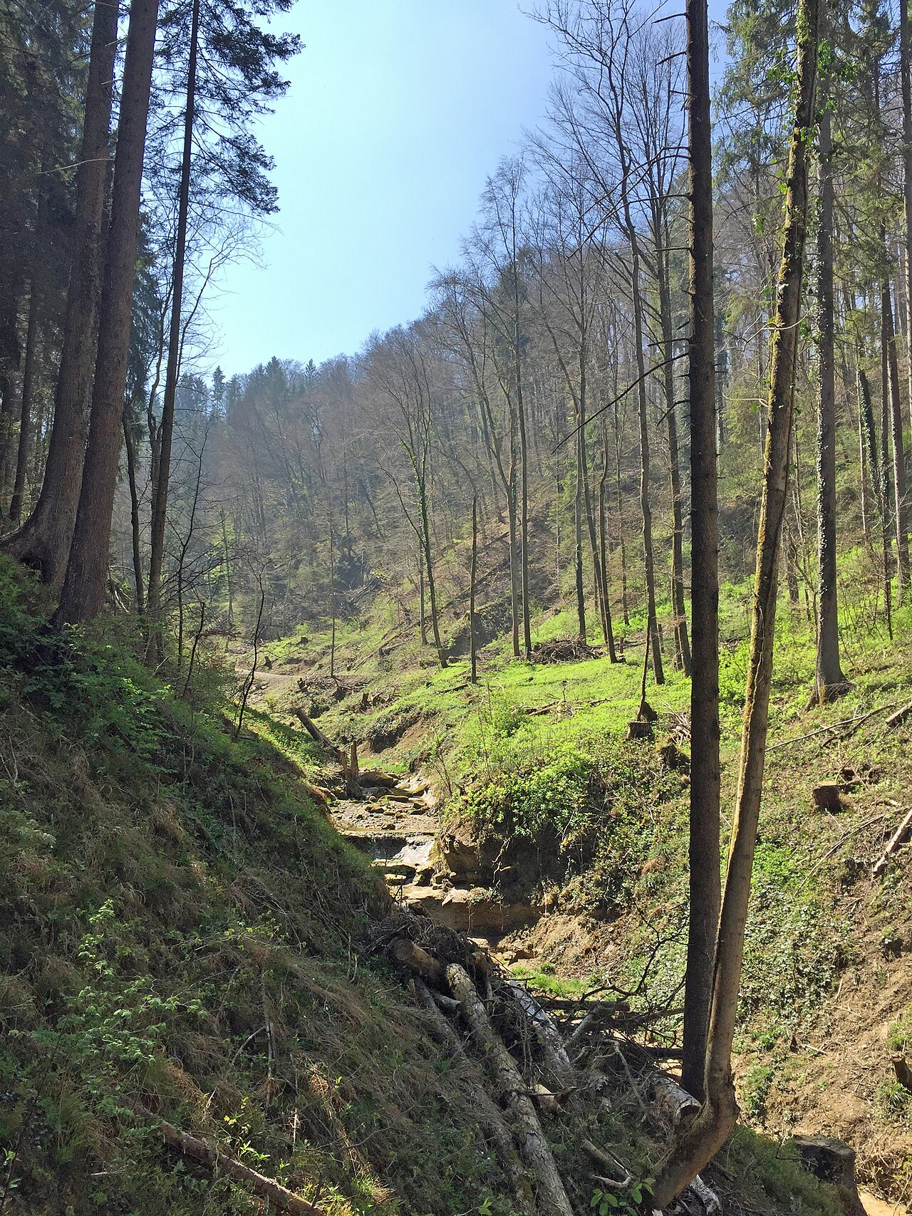 Ein Foto von Sagentobelbach