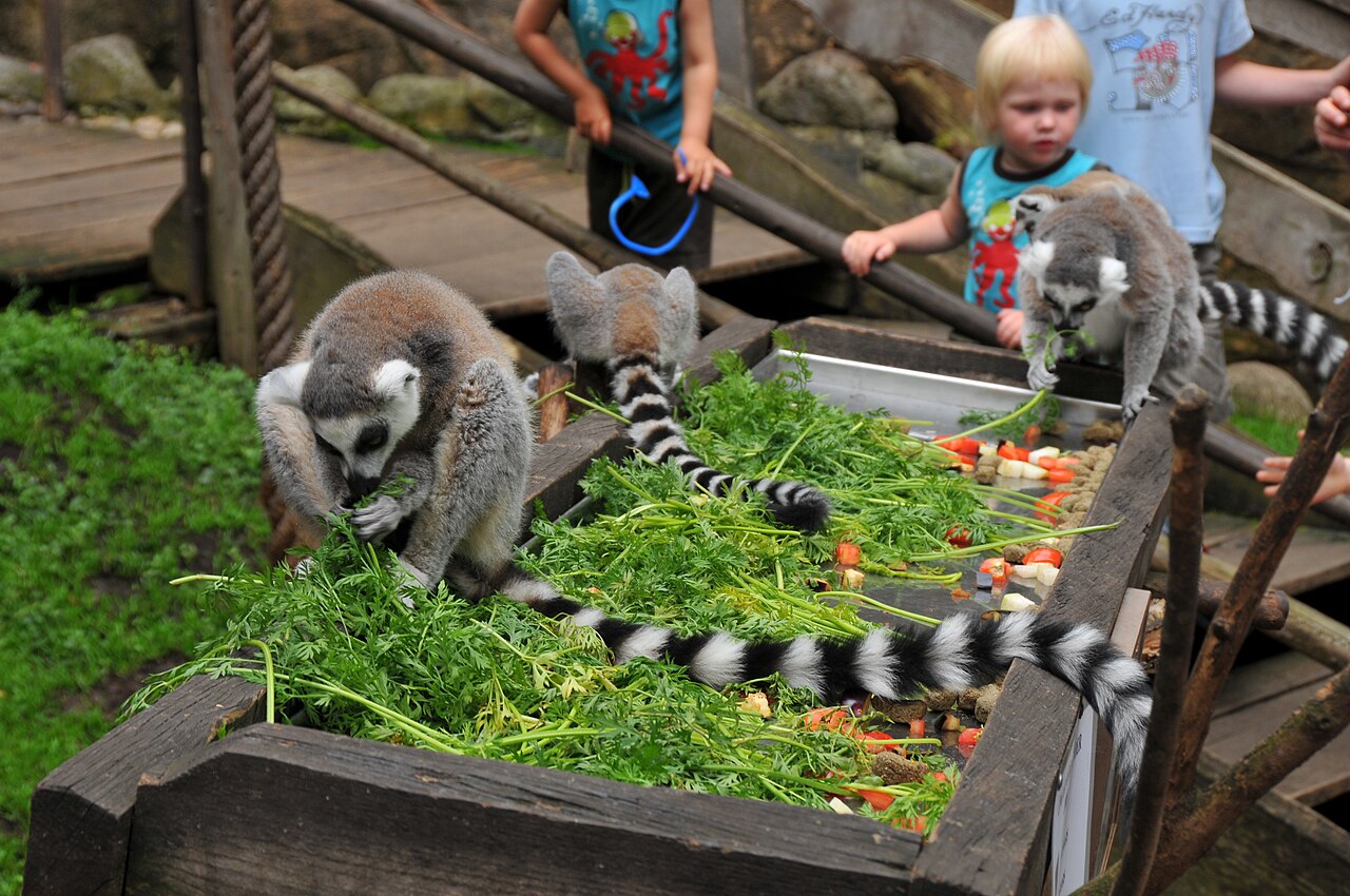 Skansen Akvaryumu
