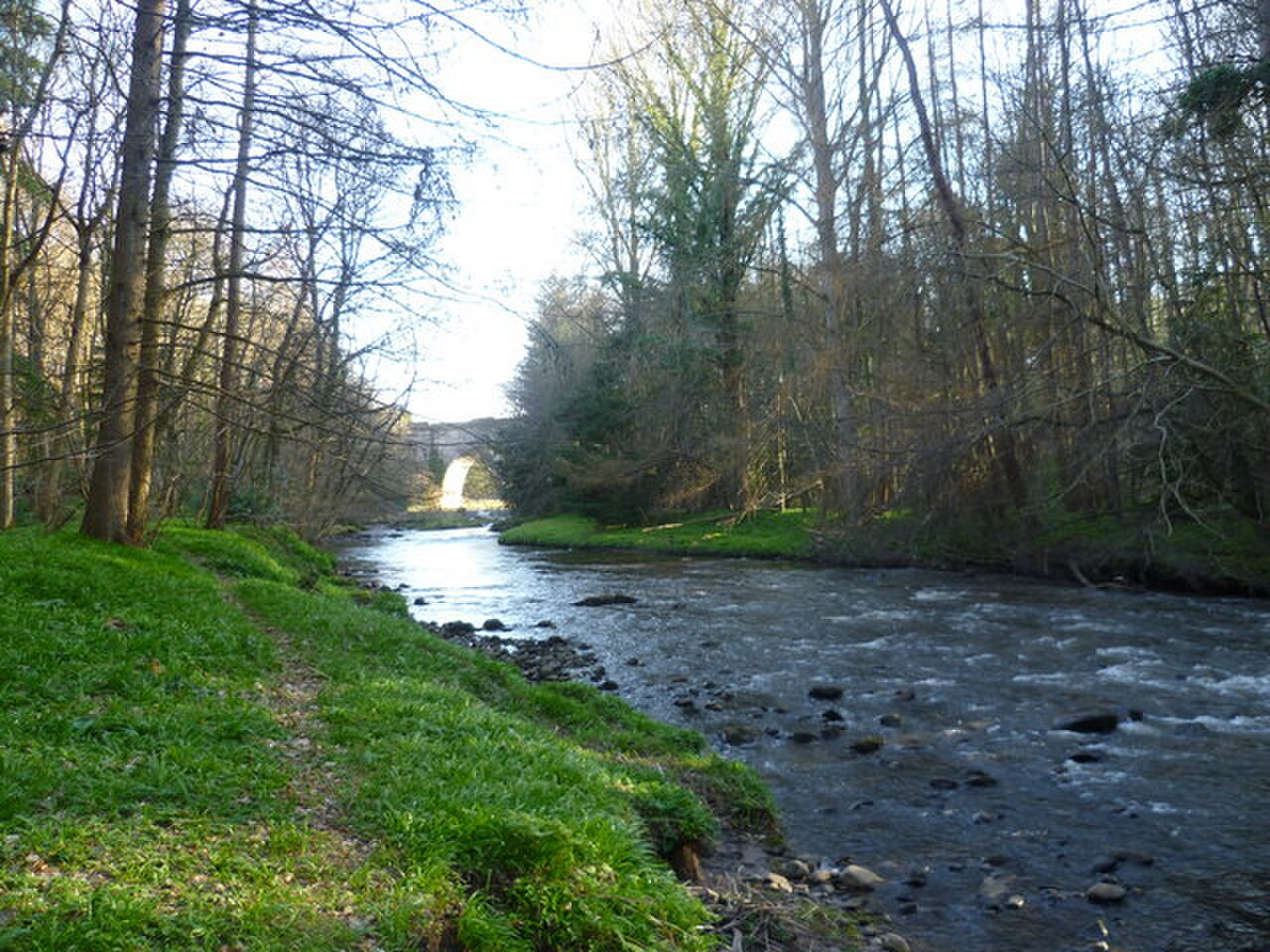 Dalkeith Country Park の写真