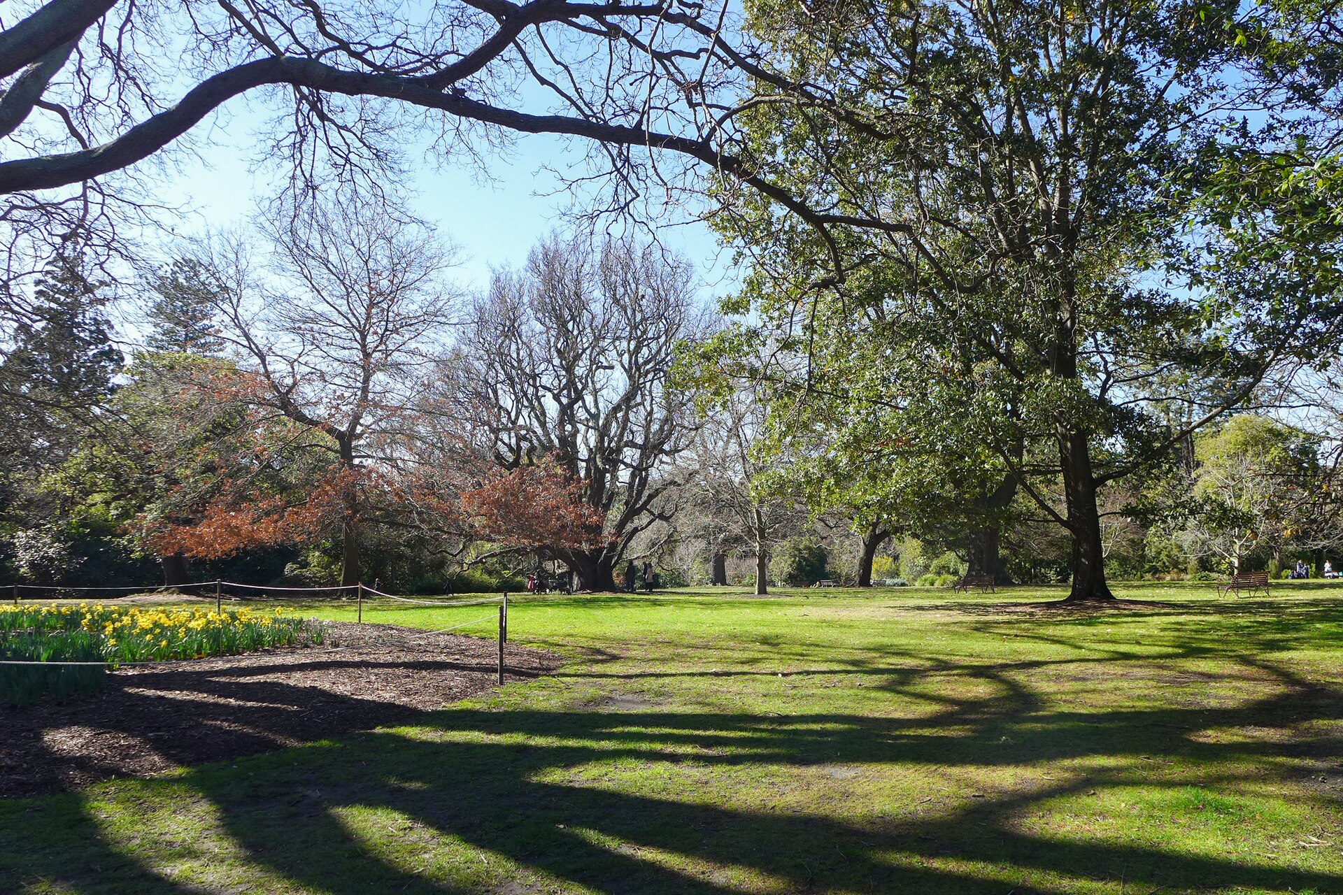 Royal Botanic Gardens Victoria의 사진