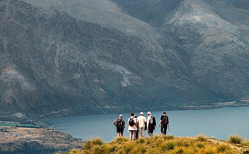 Ben Lomond Track
