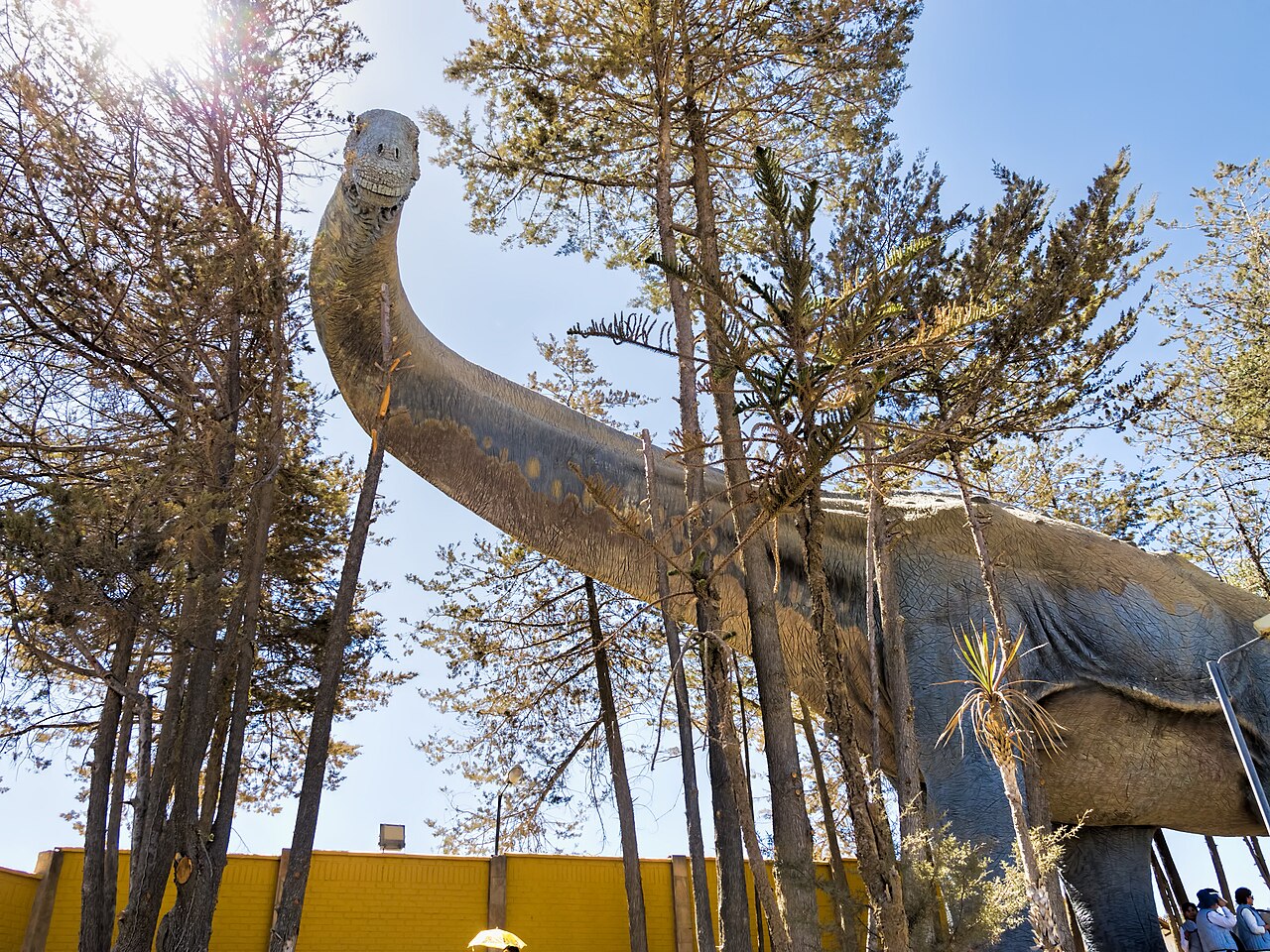 Parque Bolivia fotoğrafı