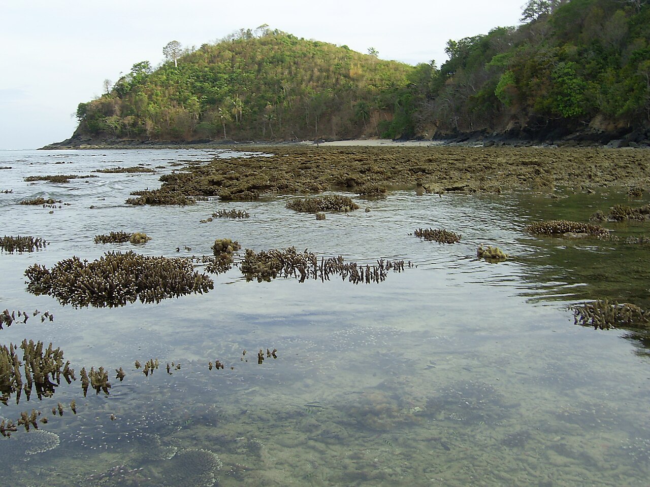 Ein Foto von Panwa Beach