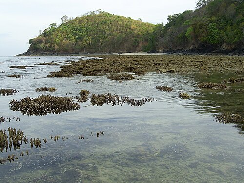 Panwa Beach