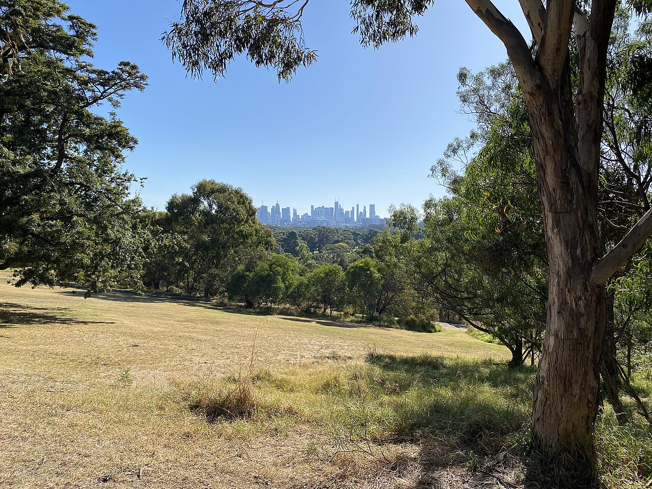 A photograph of Yarra Bend Park