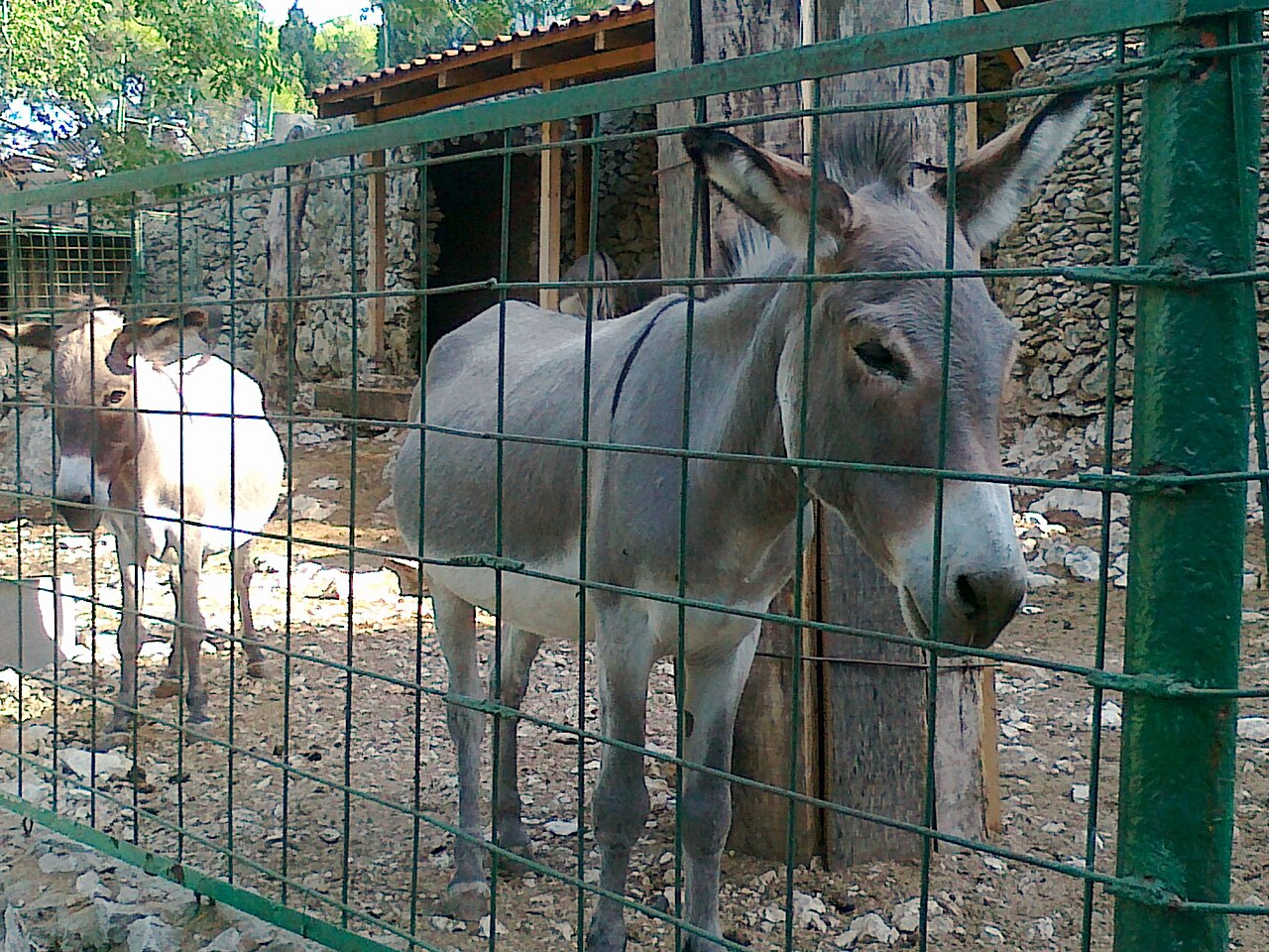 Une photographie de Musée des sciences et zoo de Split