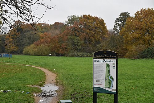 Berkeley Meadows