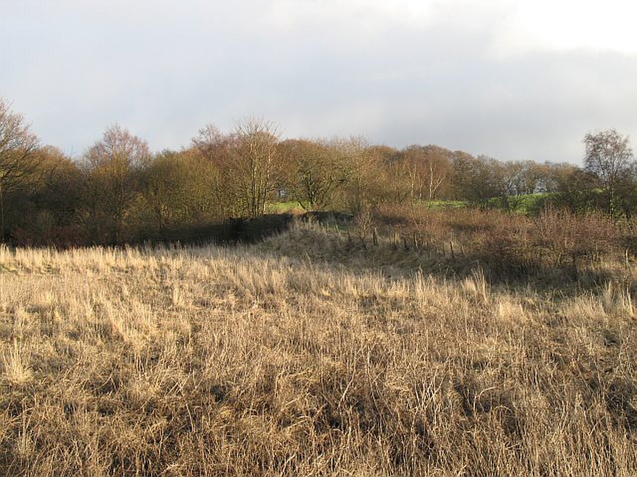 Drumpellier country park