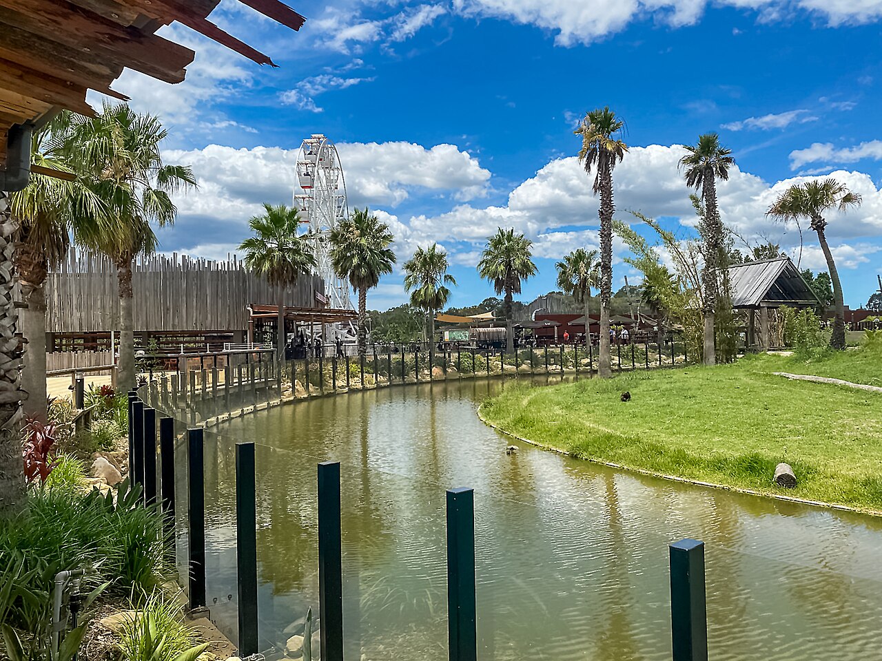 A photograph of Sydney Zoo