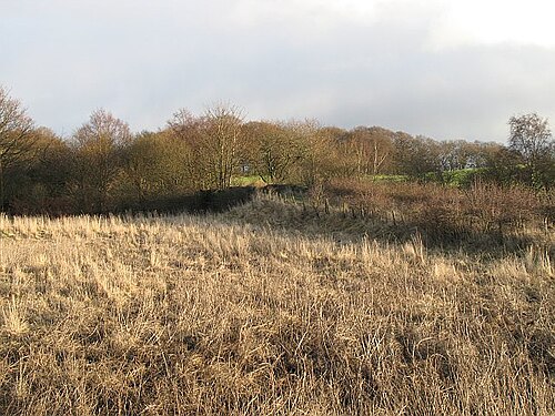 Drumpellier country park