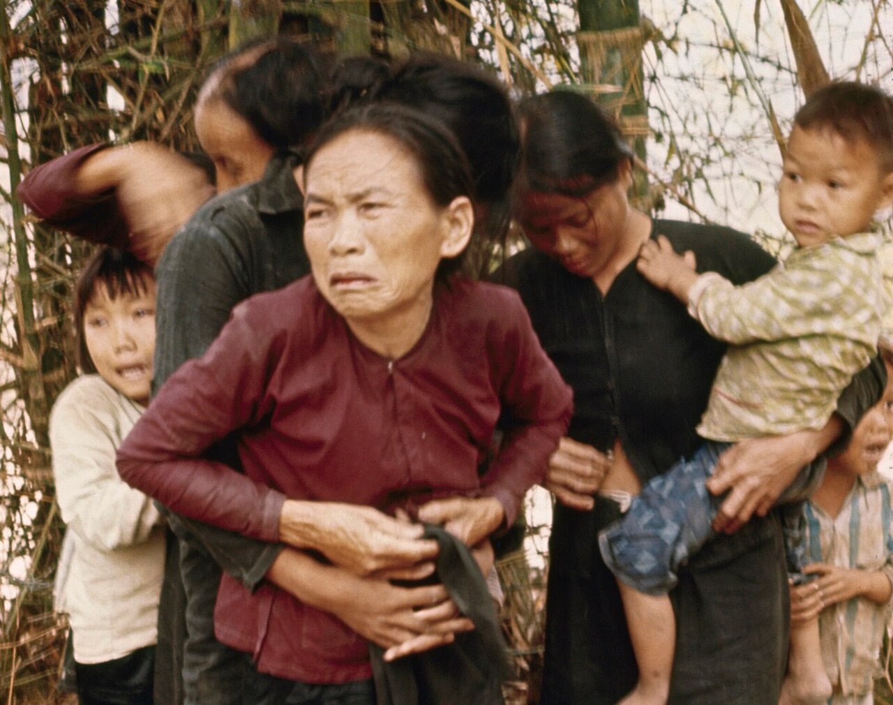 My Lai Katliamı fotoğrafı
