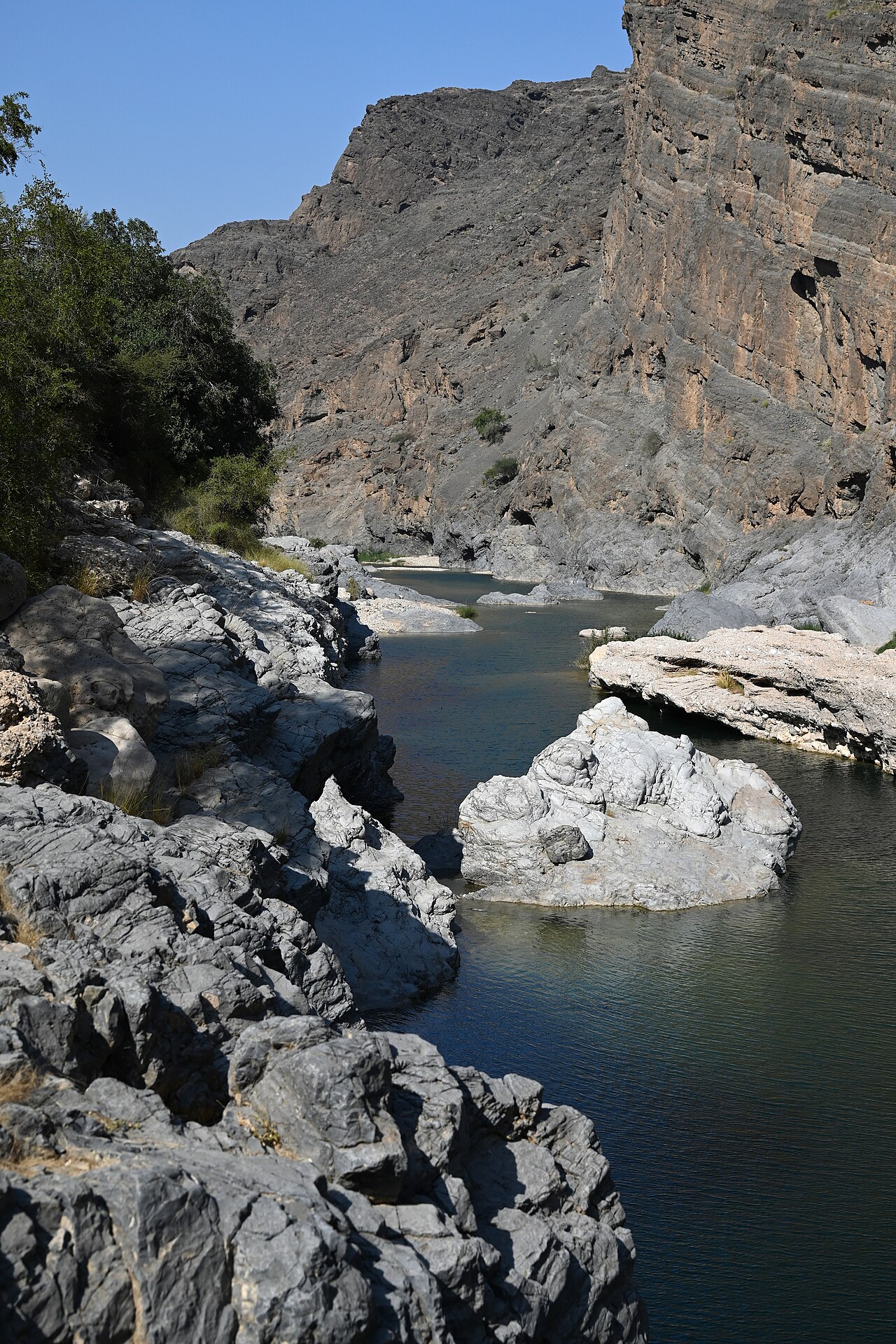 صورة وادي الـعـربـيـيـن