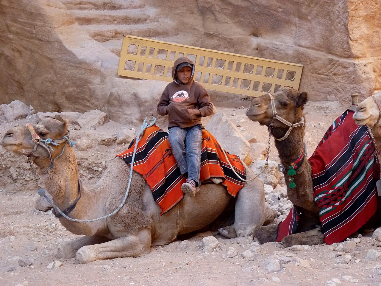 Petra view fotoğrafı