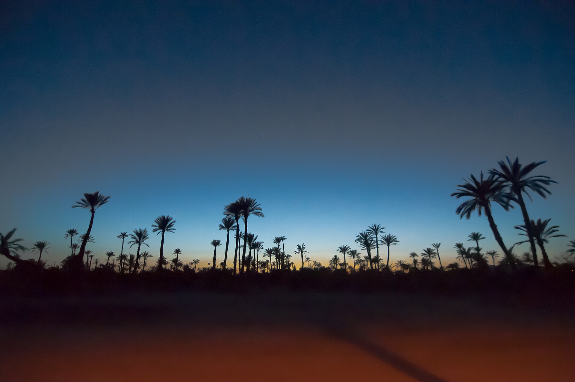 Una fotografía de Palmeraie