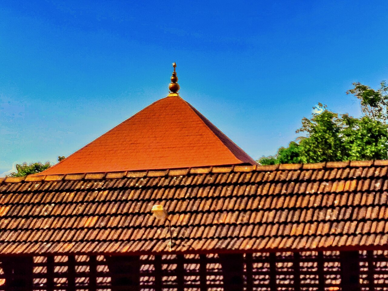 Hindu Family Temple fotoğrafı