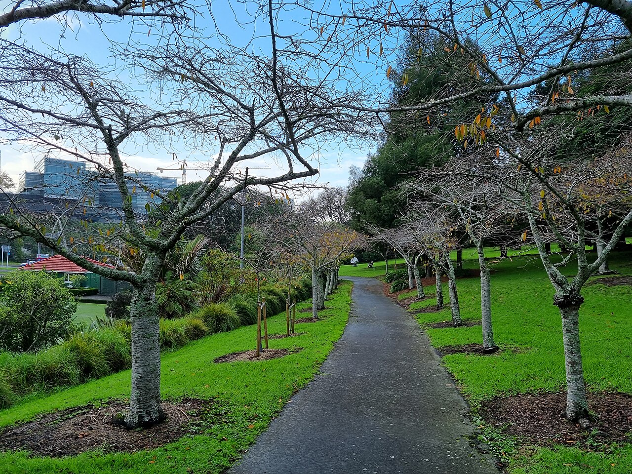 Auckland Parkı
