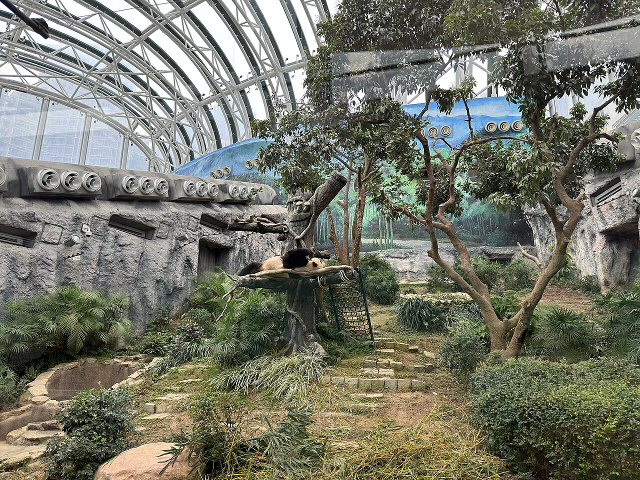 A photograph of Macao Giant Panda Pavilion
