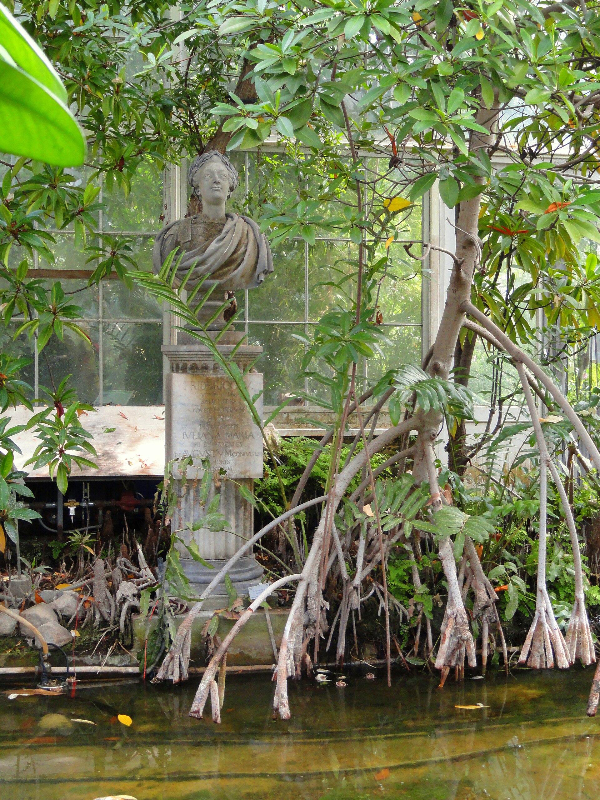 Botanisk Have
