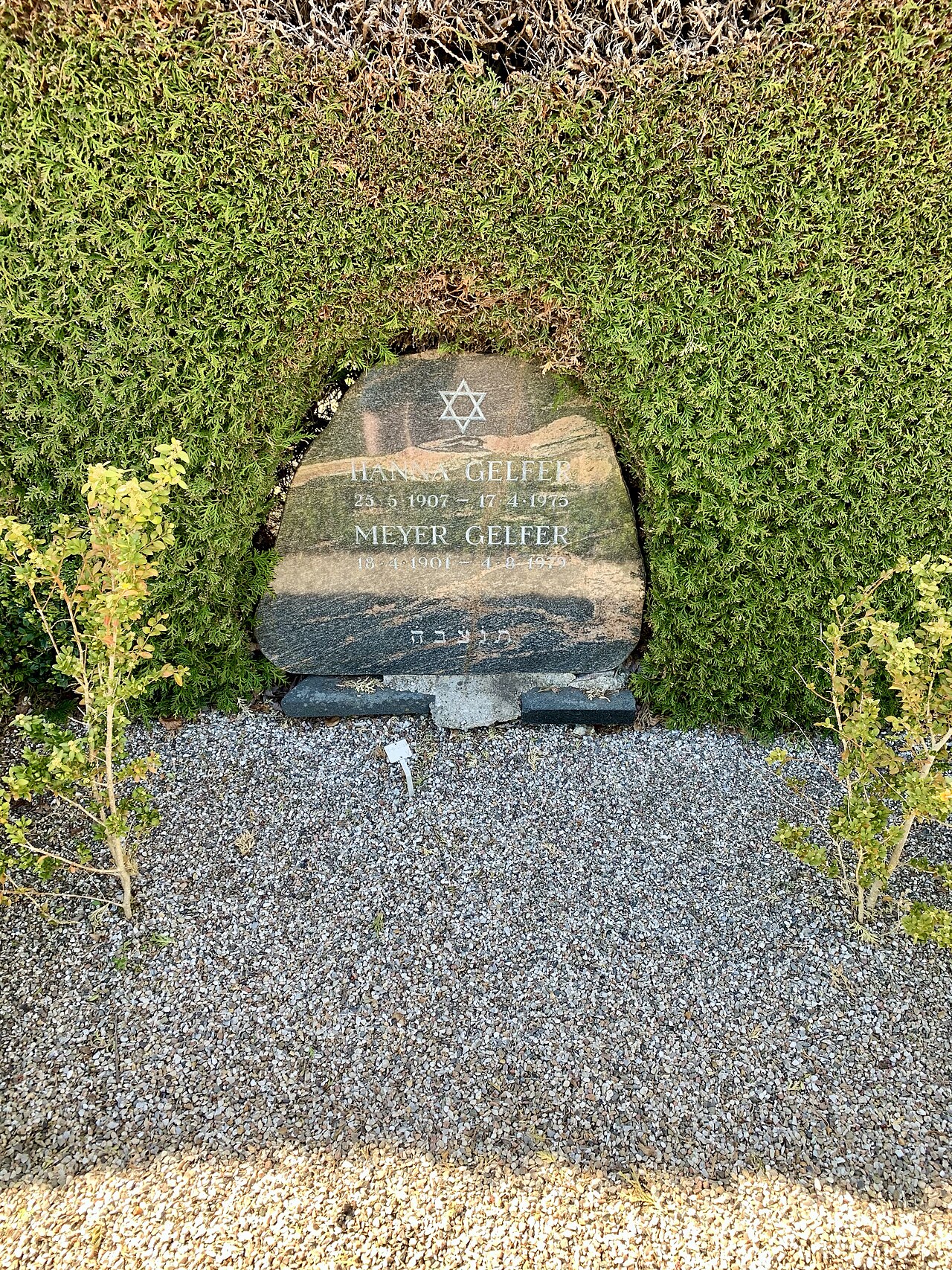 Una fotografia di Cimitero ebraico occidentale