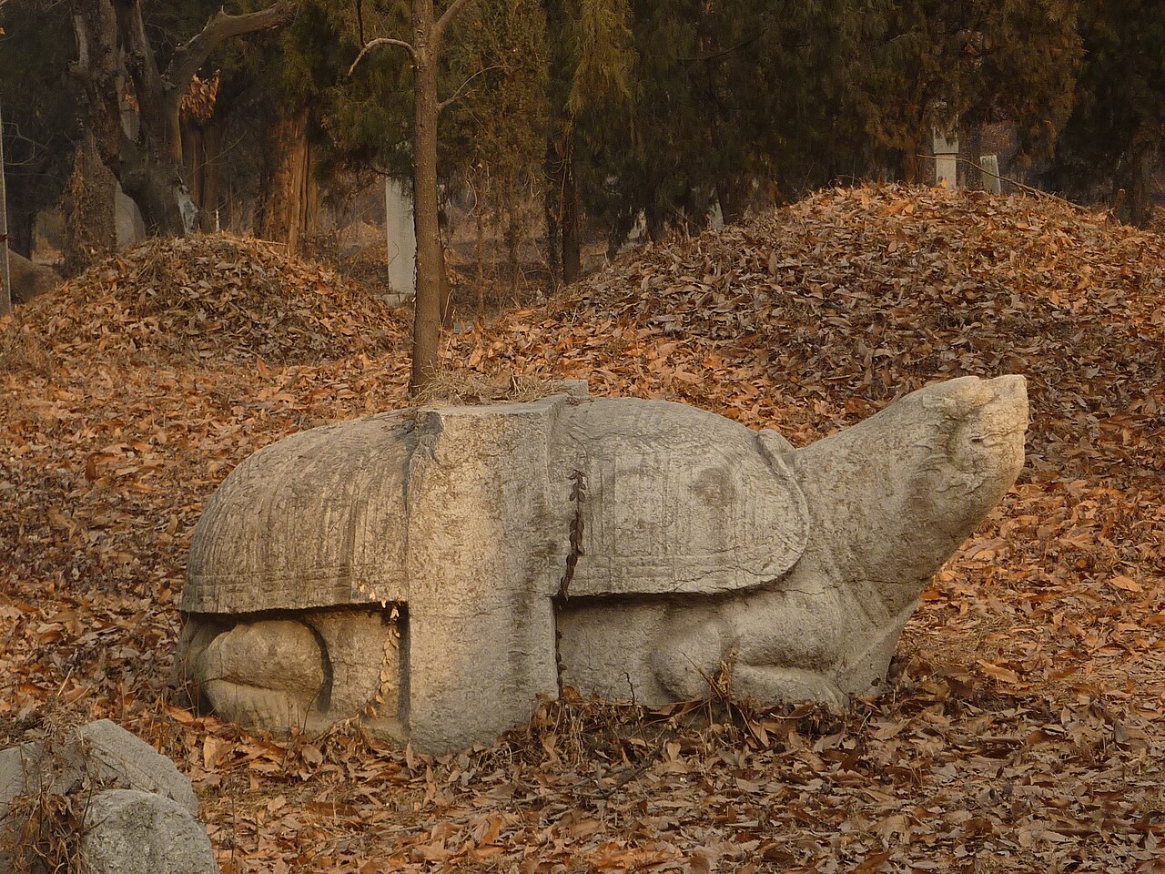 صورة Tomb 468