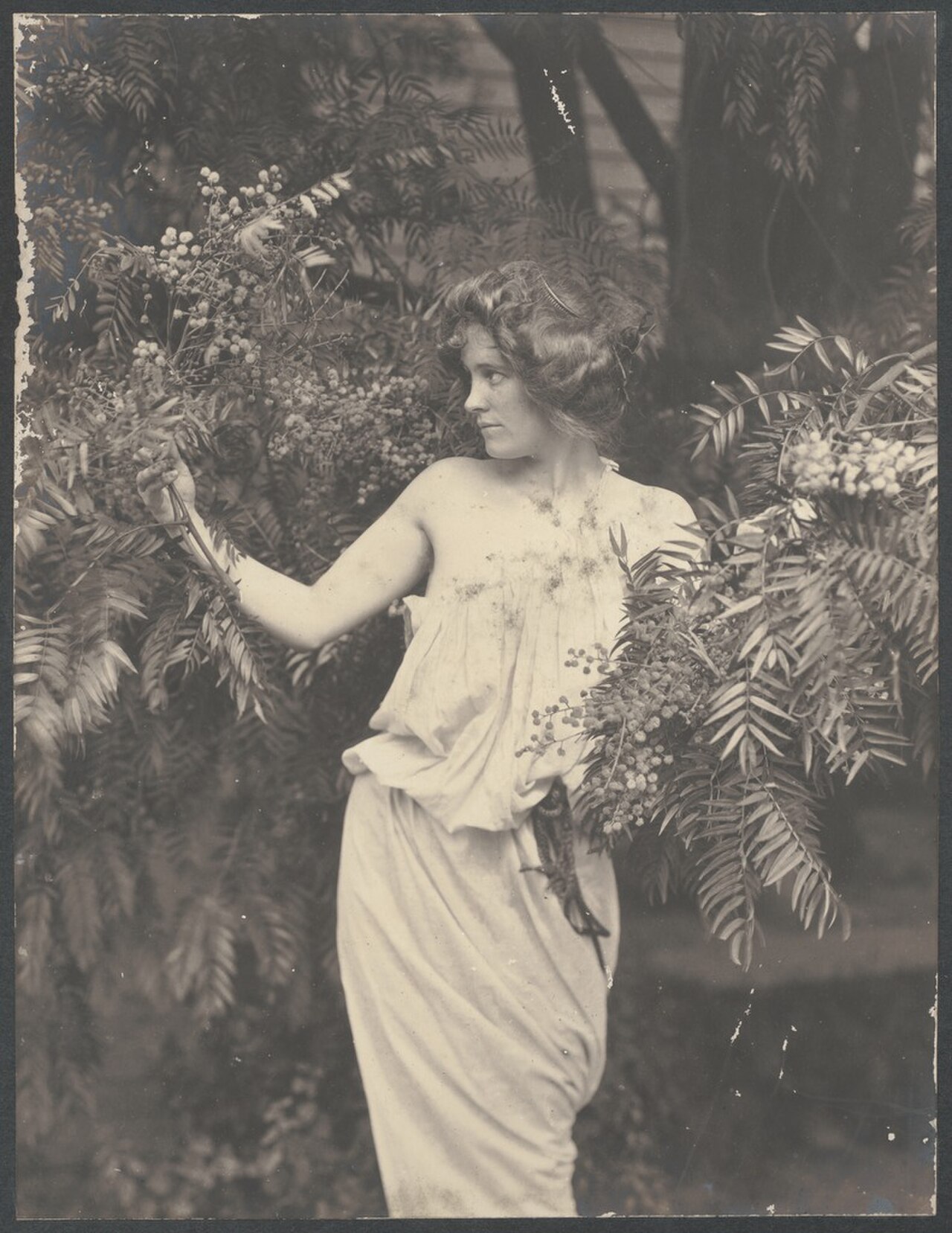 A photograph of Spring