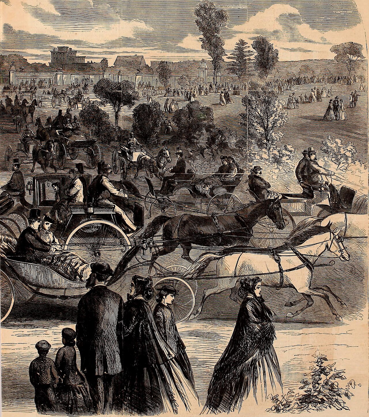 A photograph of Central Park