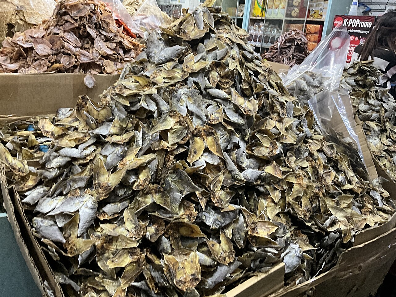 Cebu City Fish Market