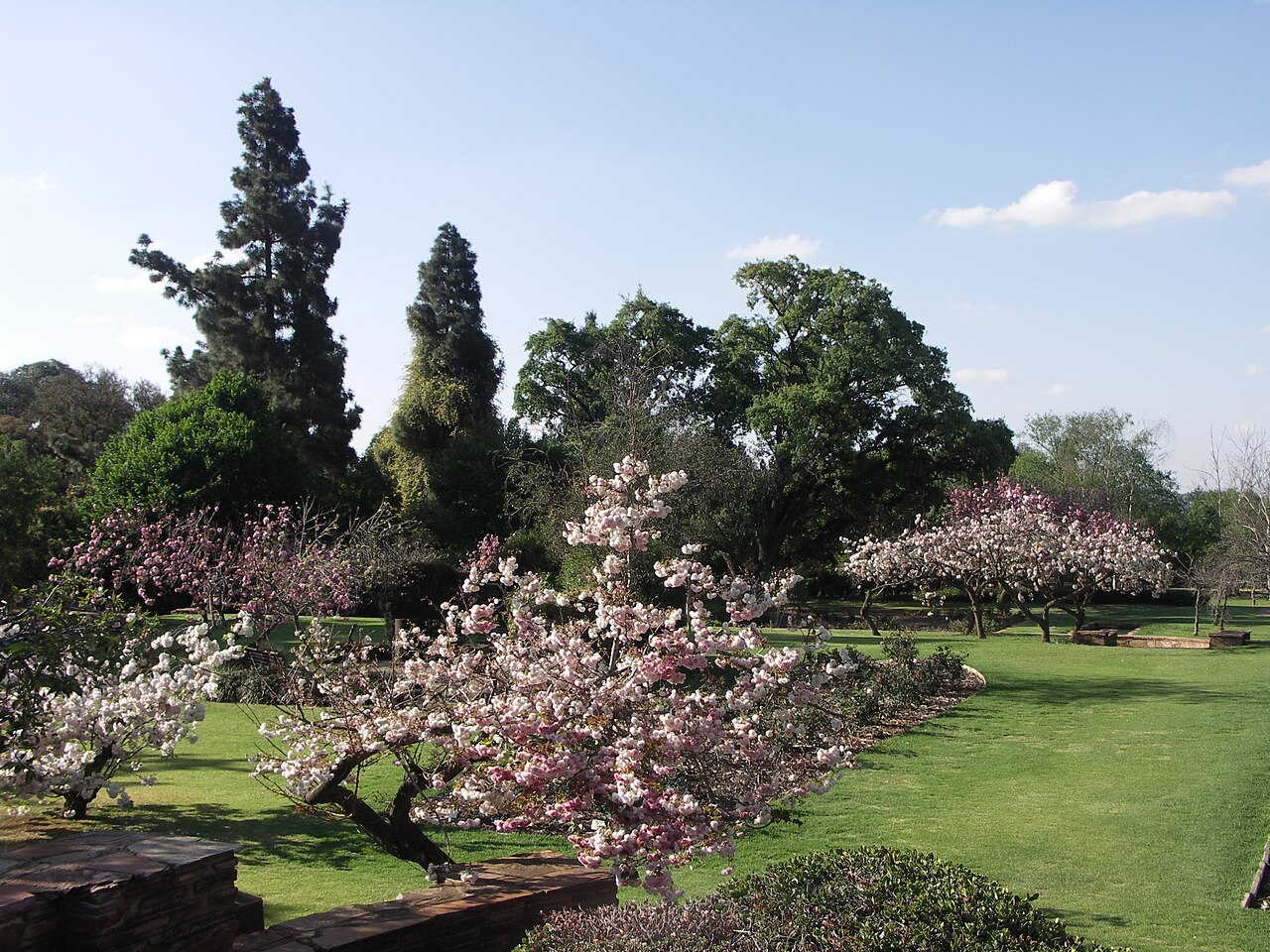 Johannesburg Botanik Bahçesi