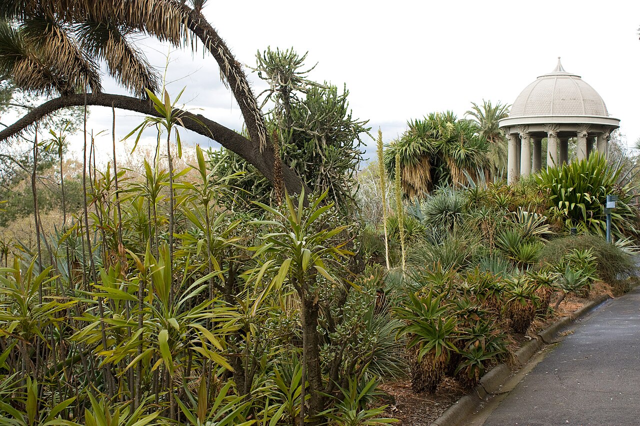 A photograph of Royal Botanic Gardens Victoria