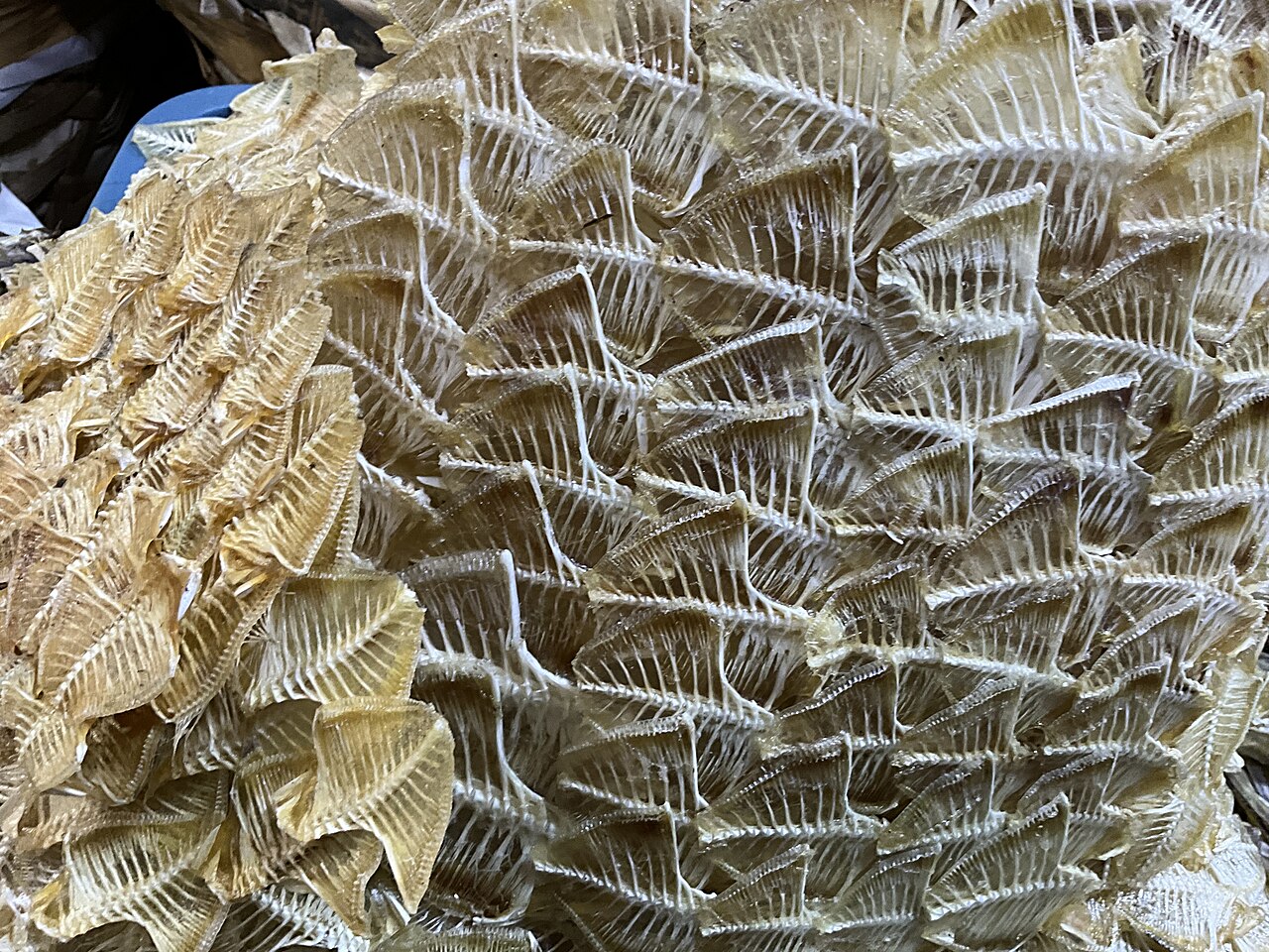 A photograph of Cebu City Fish Market