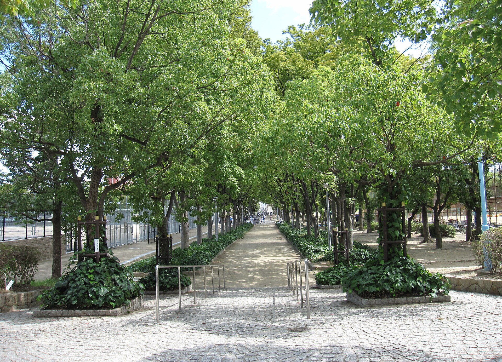 A photograph of Izuo Park