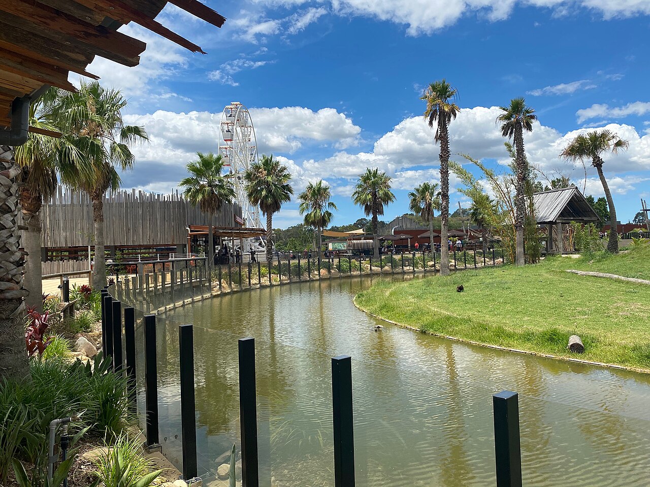 A photograph of Sydney Zoo