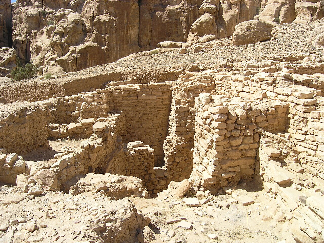 صورة بعجة