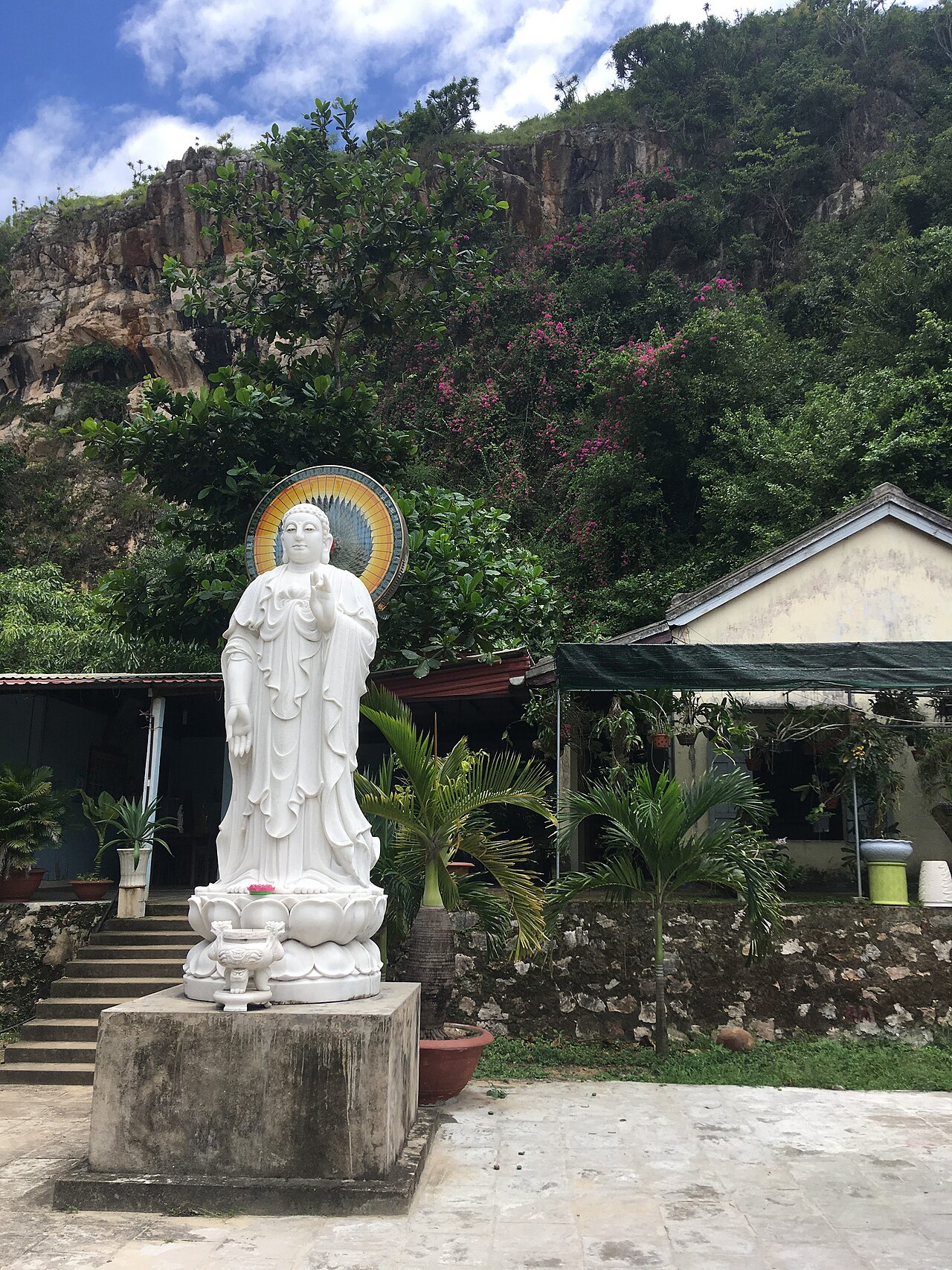Chùa Long Hoa fotoğrafı