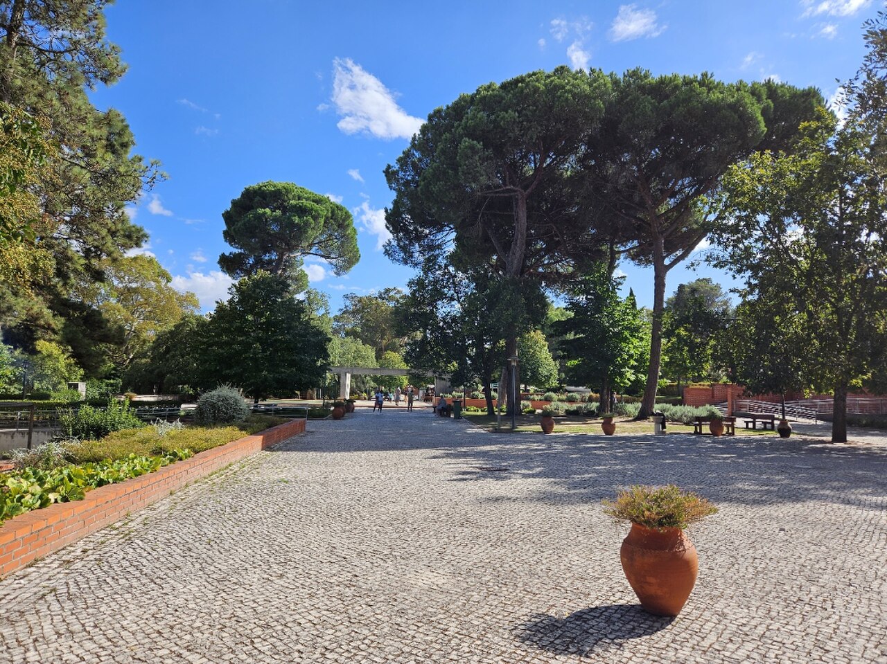 Una fotografia di Parque Infantil do Alvito
