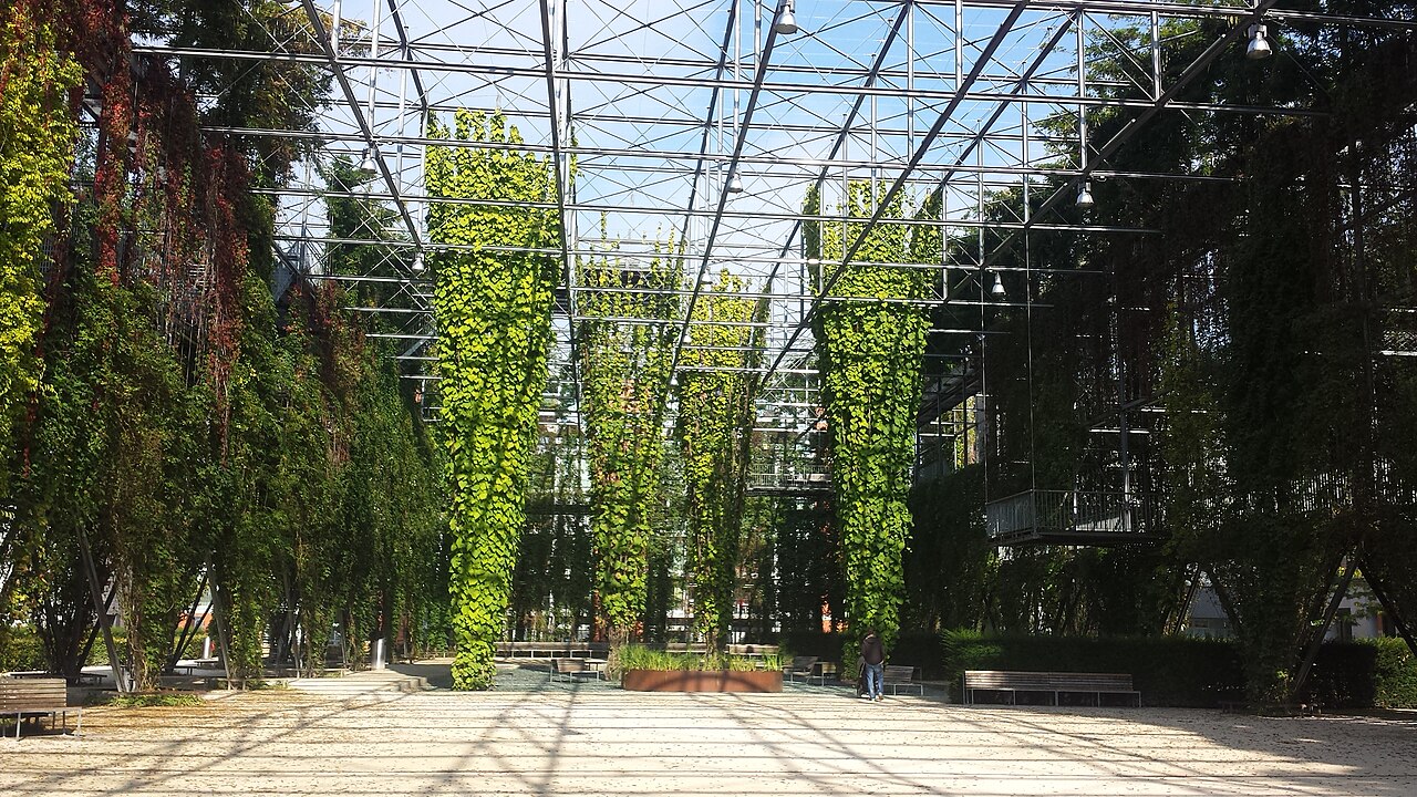 Ein Foto von MFO-Park