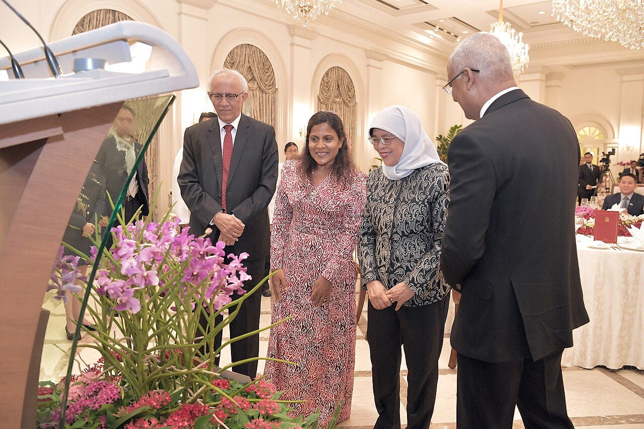 Une photographie de Mohamed Abdullah