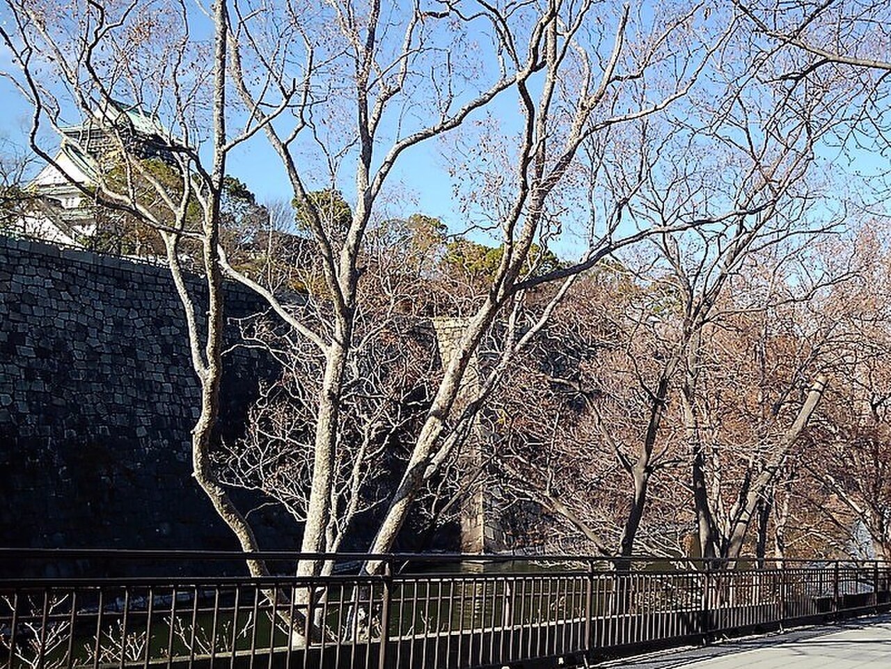 Una fotografía de Castillo Osaka