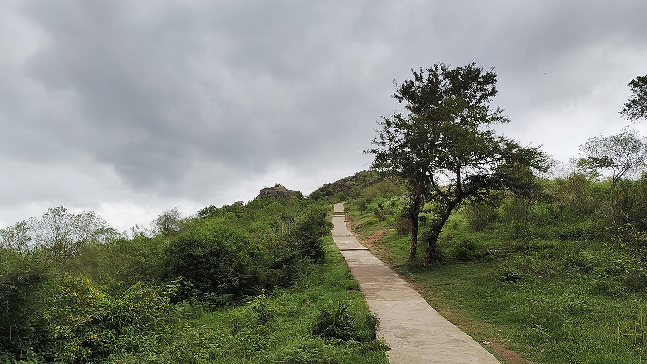 Scenic View fotoğrafı