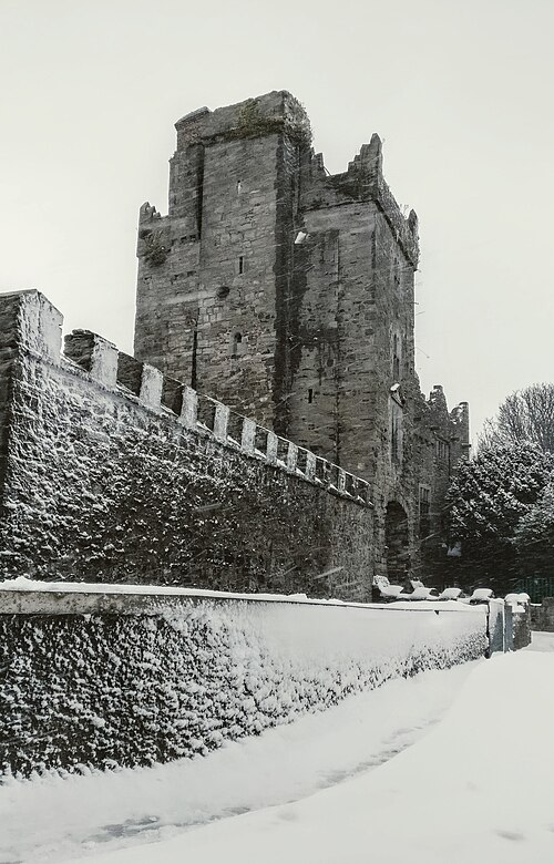 Castelo de Drimnagh