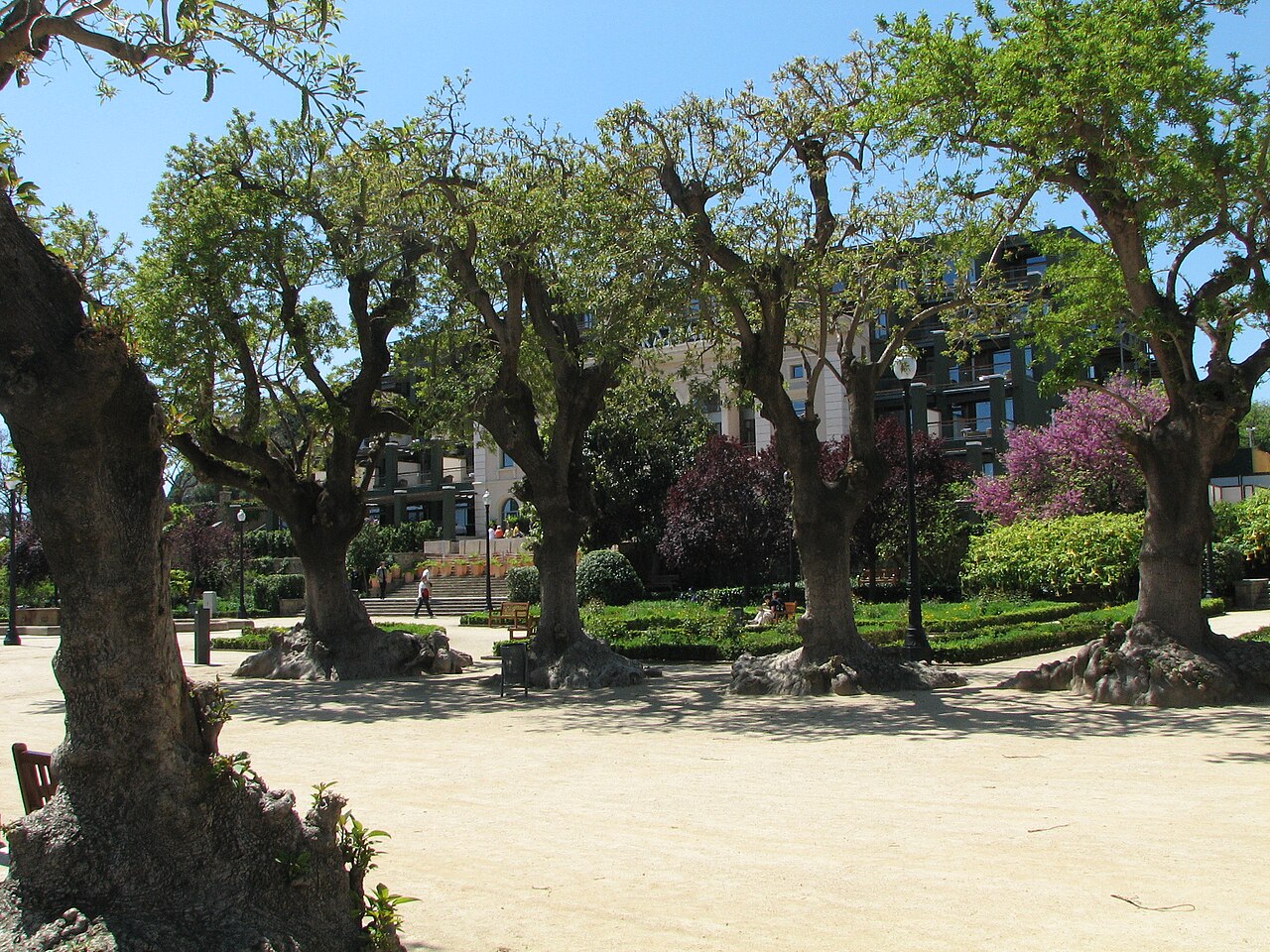 A photograph of Jardín Miramar