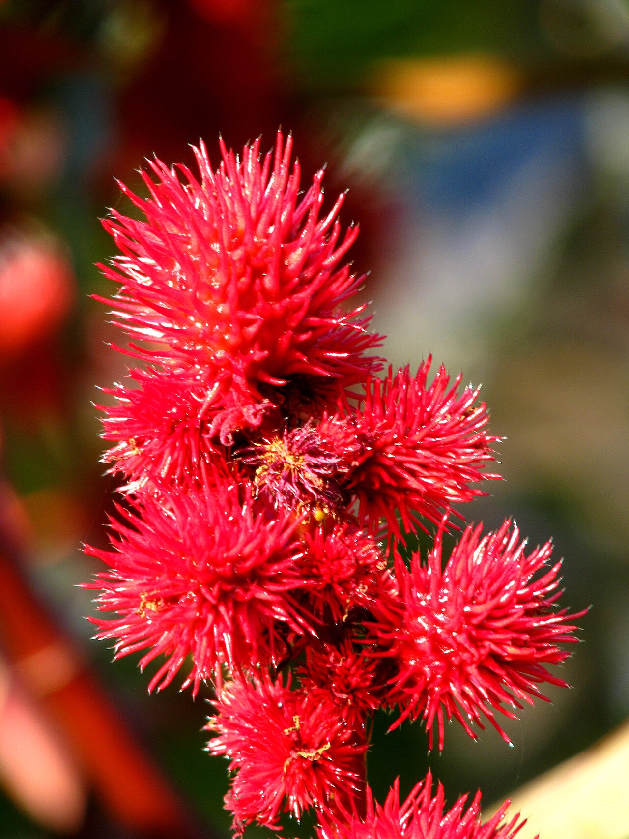 Ein Foto von Alter Botanischer Garten