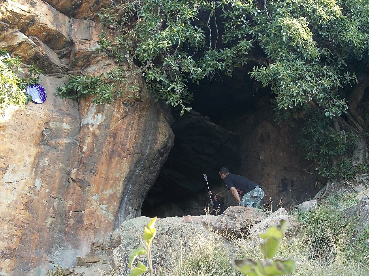 Melville Koppies