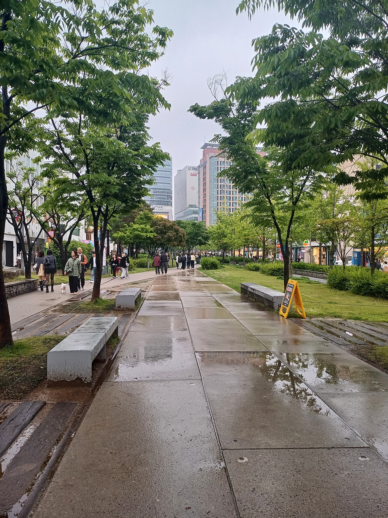 صورة متنزه غيونغوي لاين الحرجي