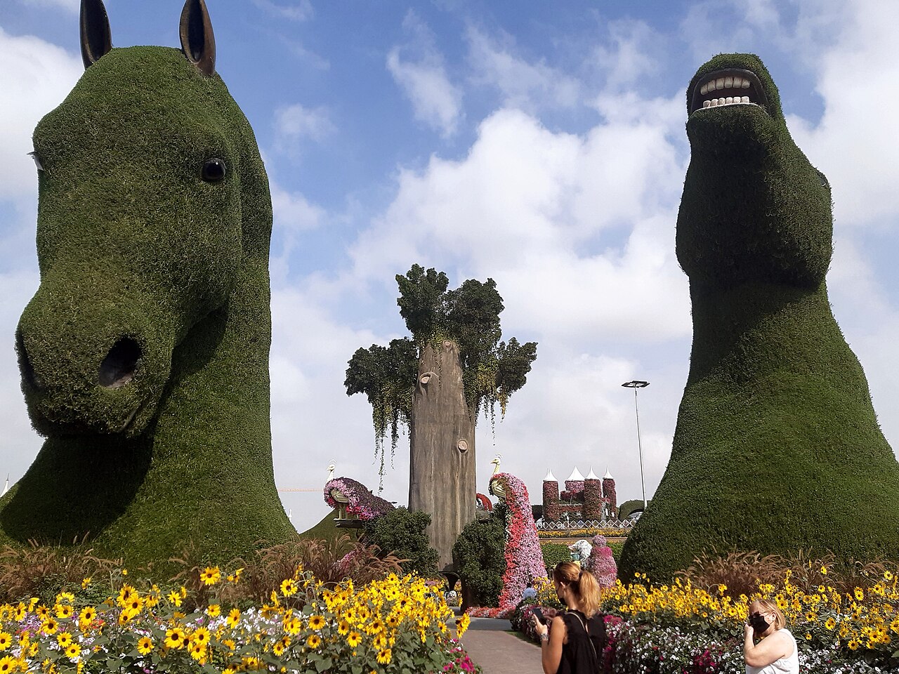 Dubai Miracle Garden