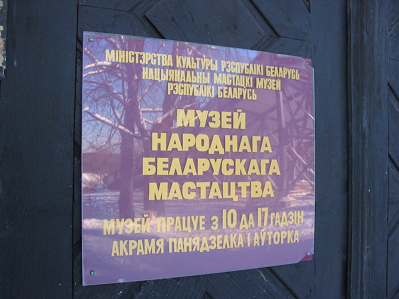 Wits Sanat Müzesi