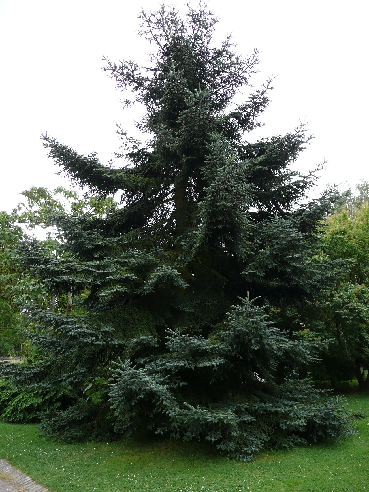 A photograph of Arboretum