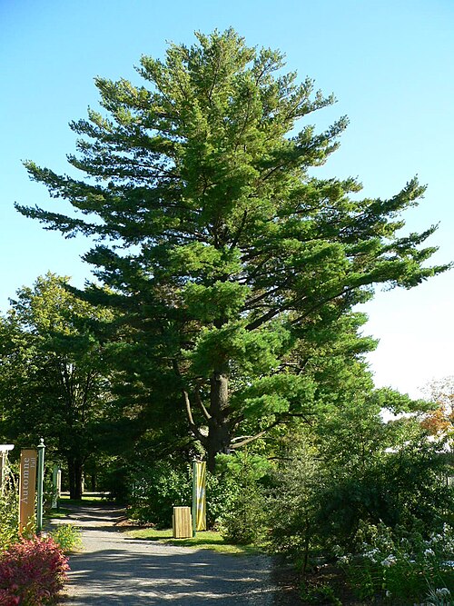 Parc des Moulins